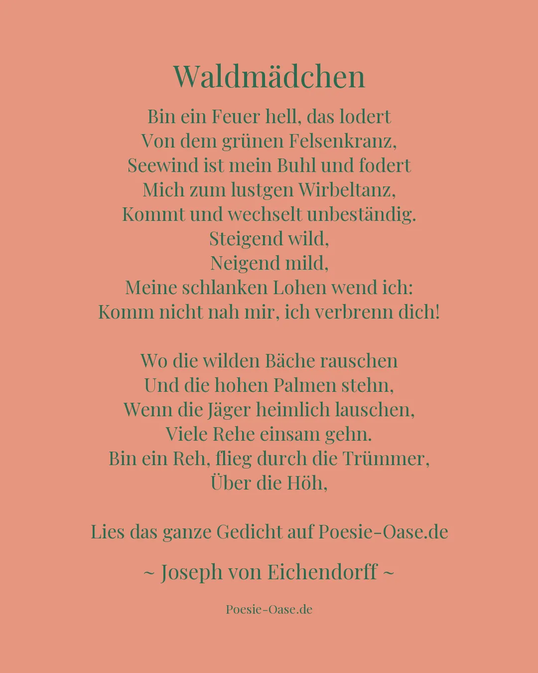 Illustration zu Waldmädchen