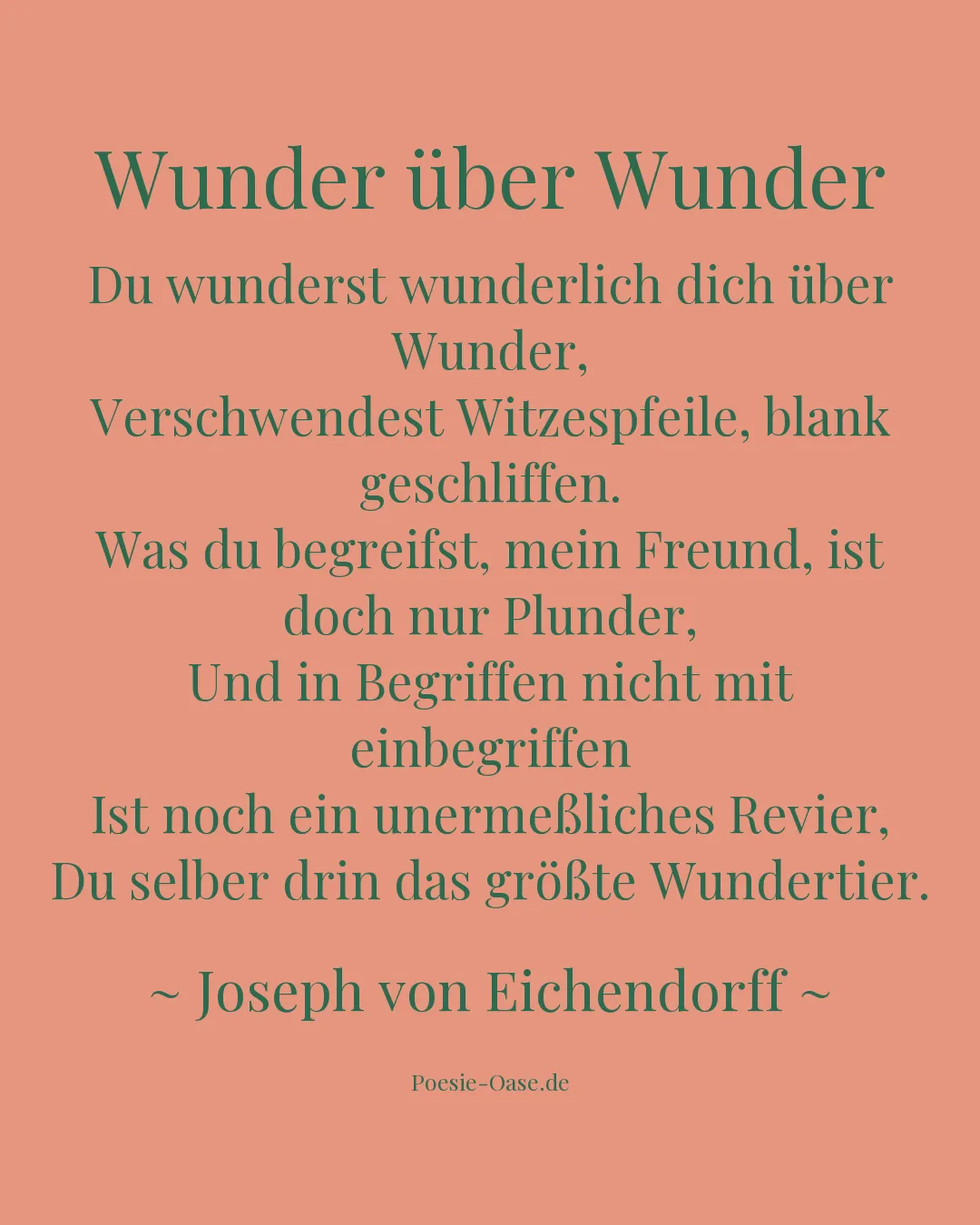 Illustration zu Wunder über Wunder