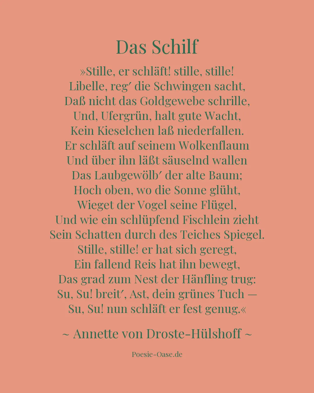 Illustration zu Das Schilf