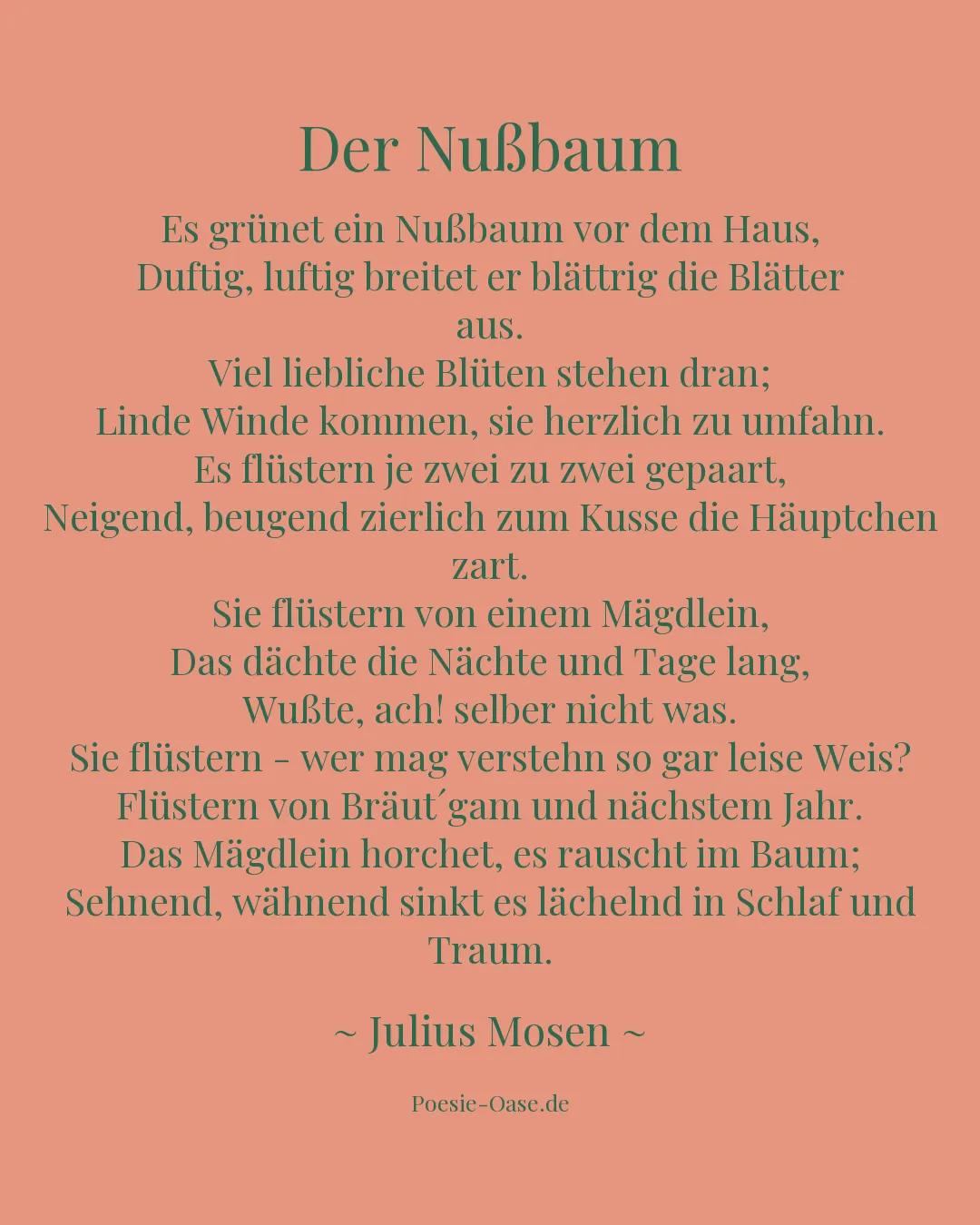 Illustration zu Der Nußbaum