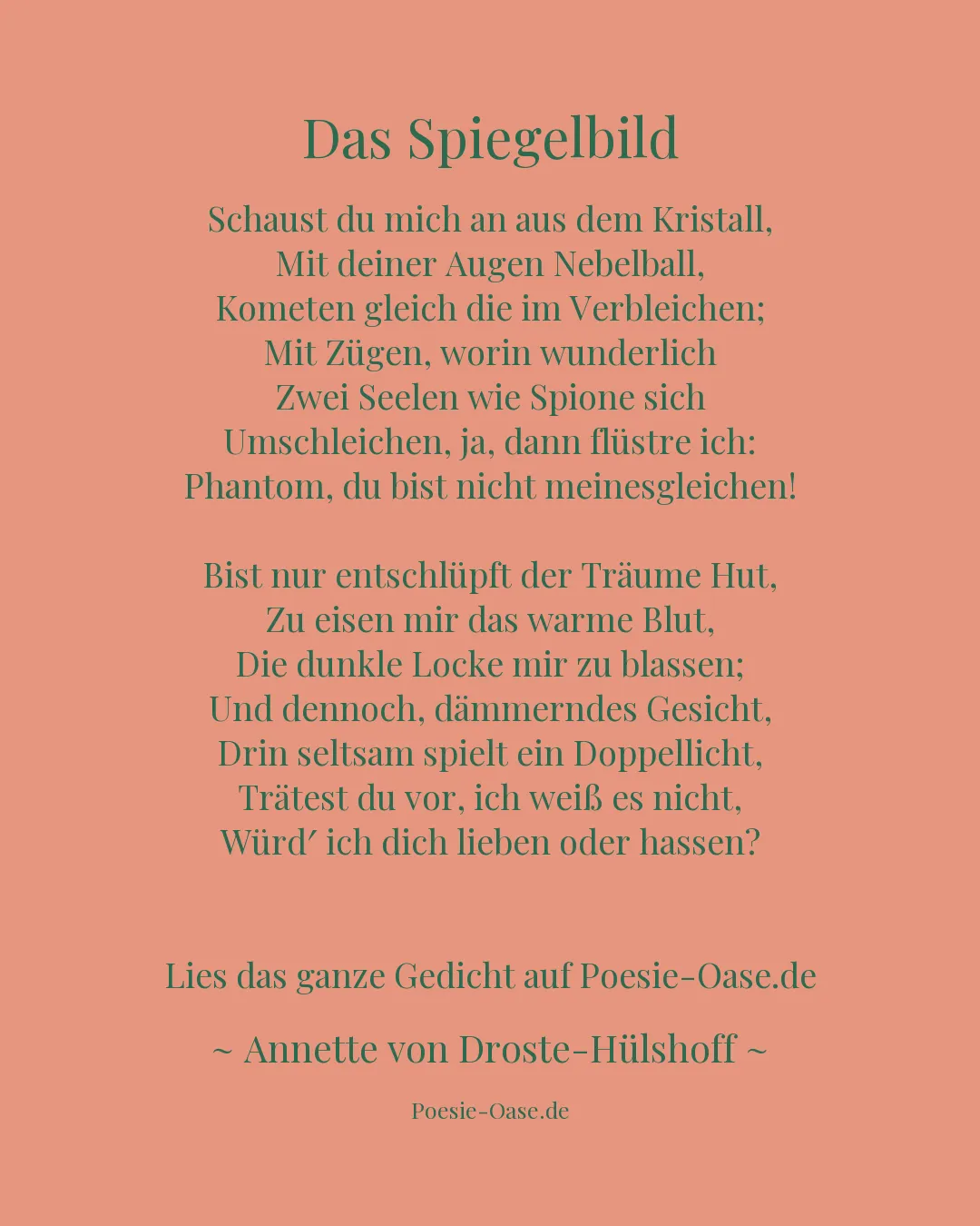 Illustration zu Das Spiegelbild