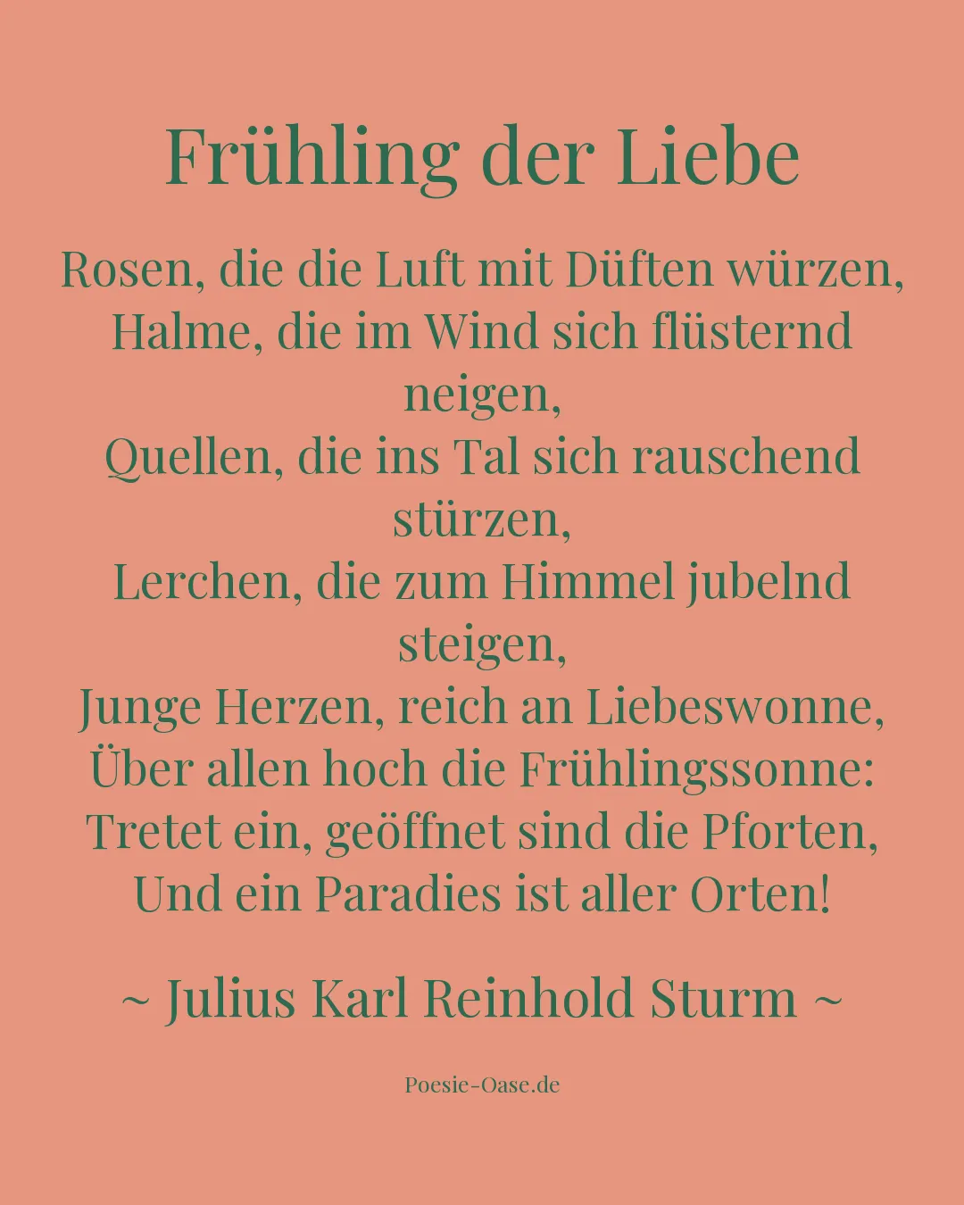 Illustration zu Frühling der Liebe