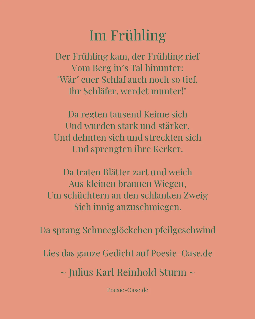 Illustration zu Im Frühling