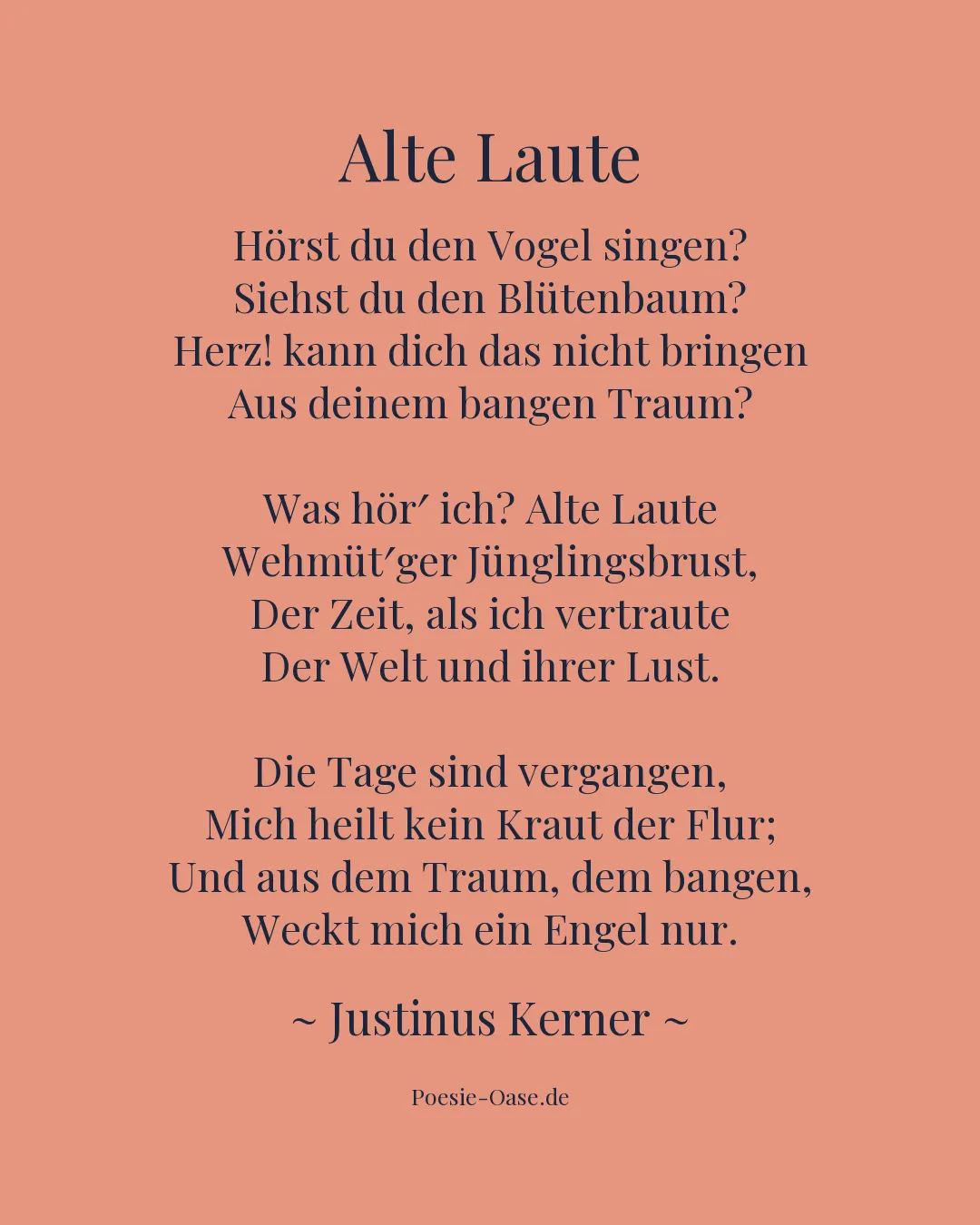 Illustration zu Alte Laute
