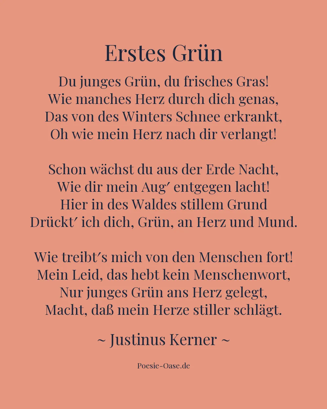 Illustration zu Erstes Grün
