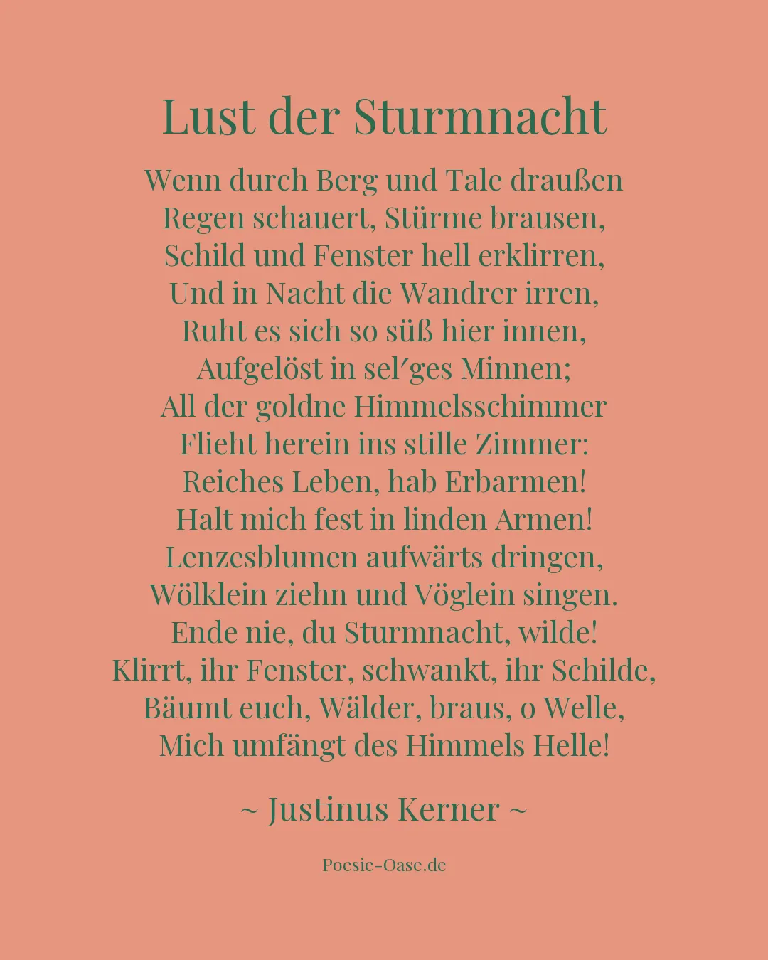Illustration zu Lust der Sturmnacht