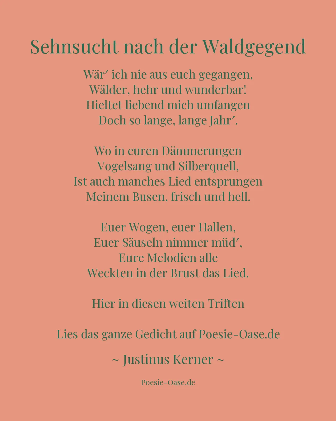 Illustration zu Sehnsucht nach der Waldgegend