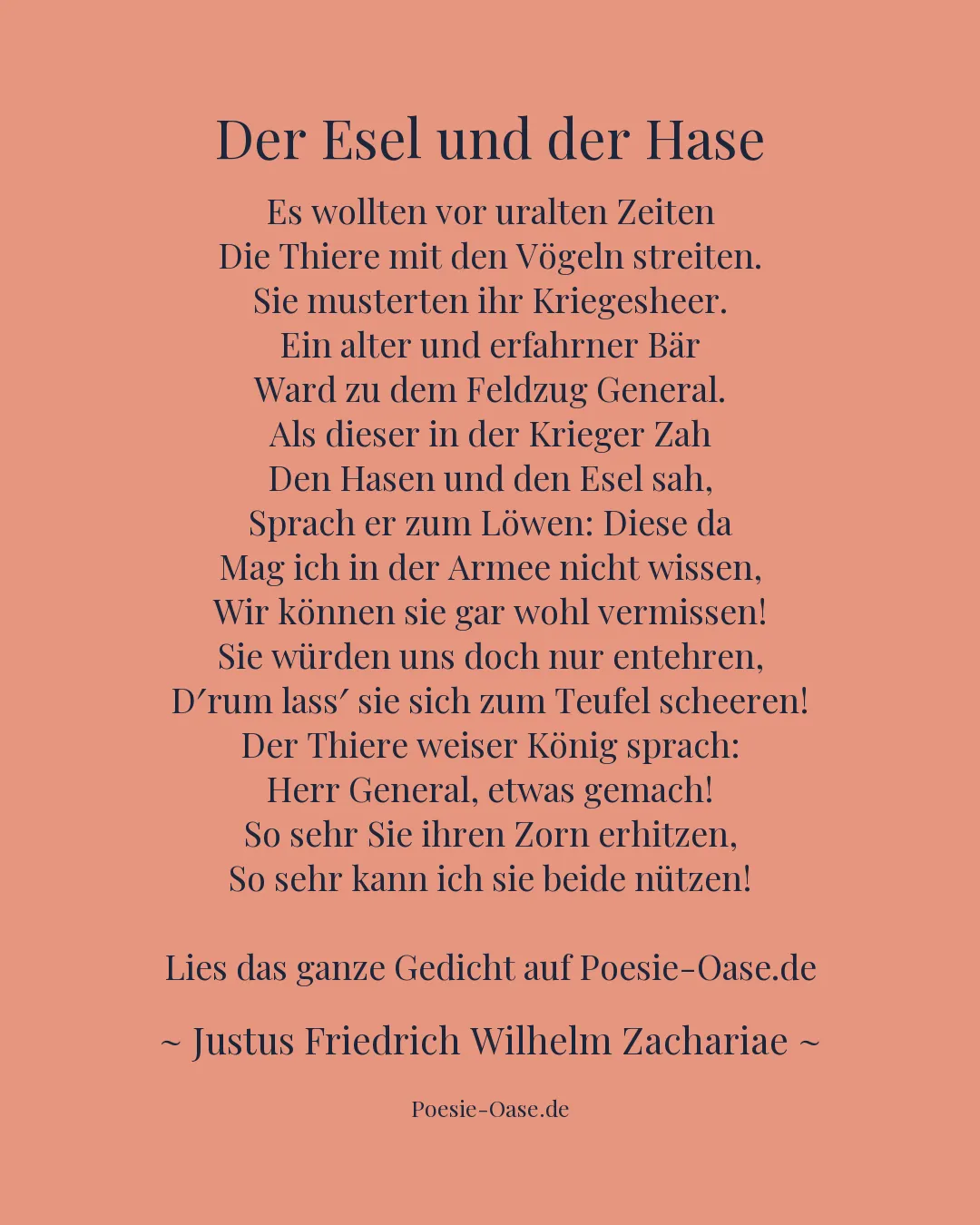 Illustration zu Der Esel und der Hase