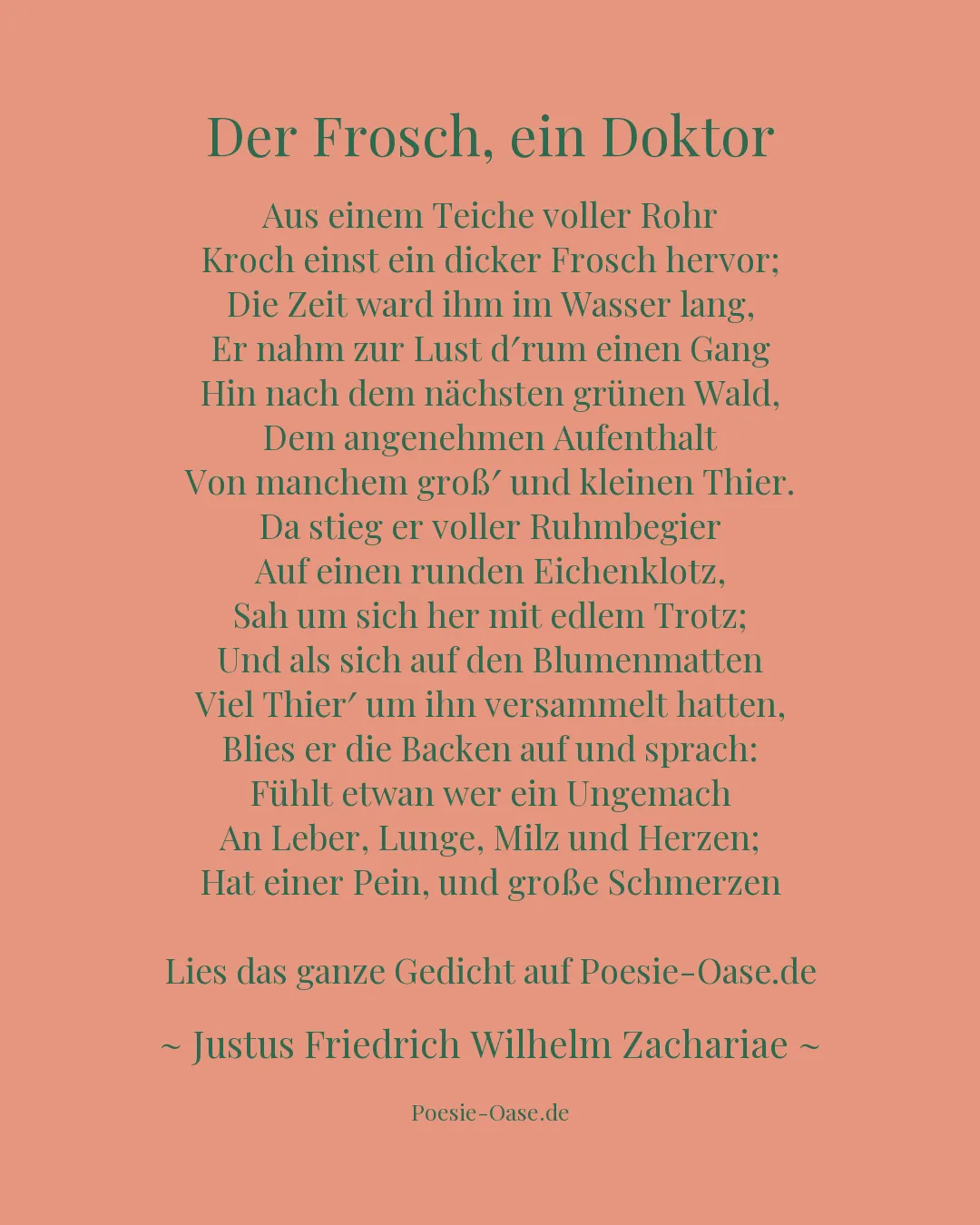 Illustration zu Der Frosch, ein Doktor