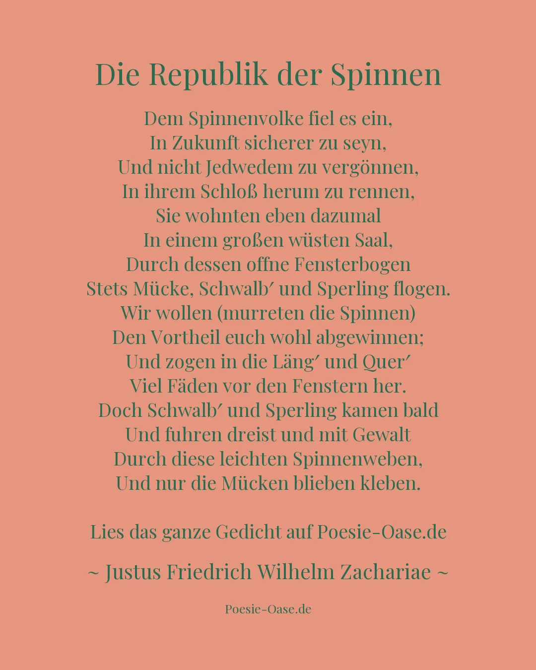 Illustration zu Die Republik der Spinnen