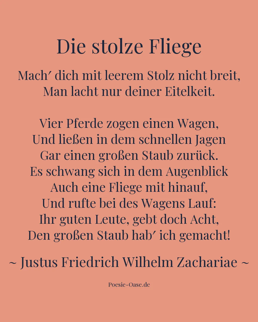 Illustration zu Die stolze Fliege