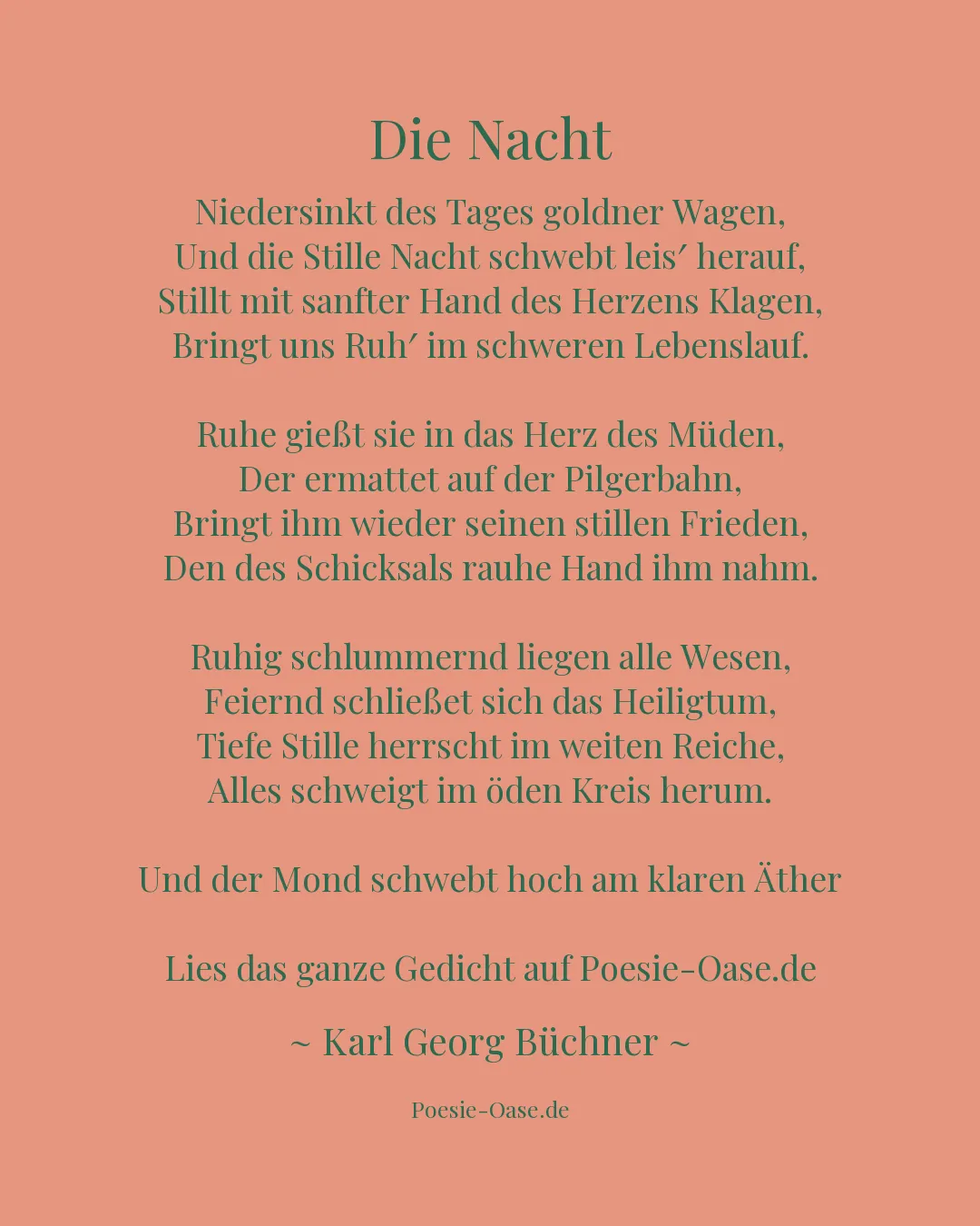 Illustration zu Die Nacht