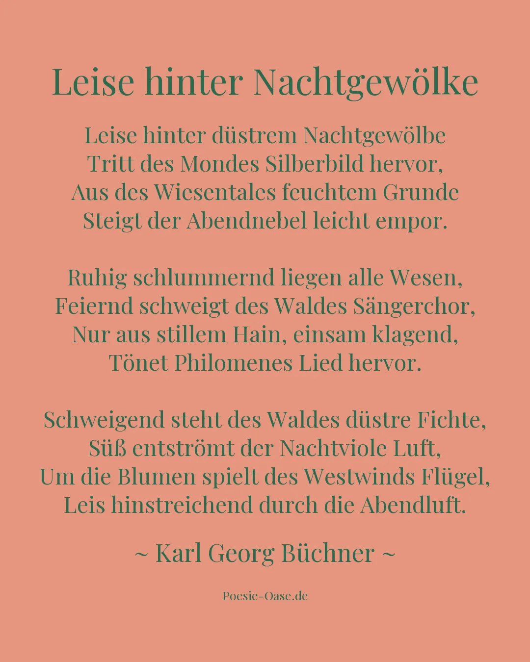 Illustration zu Leise hinter Nachtgewölke