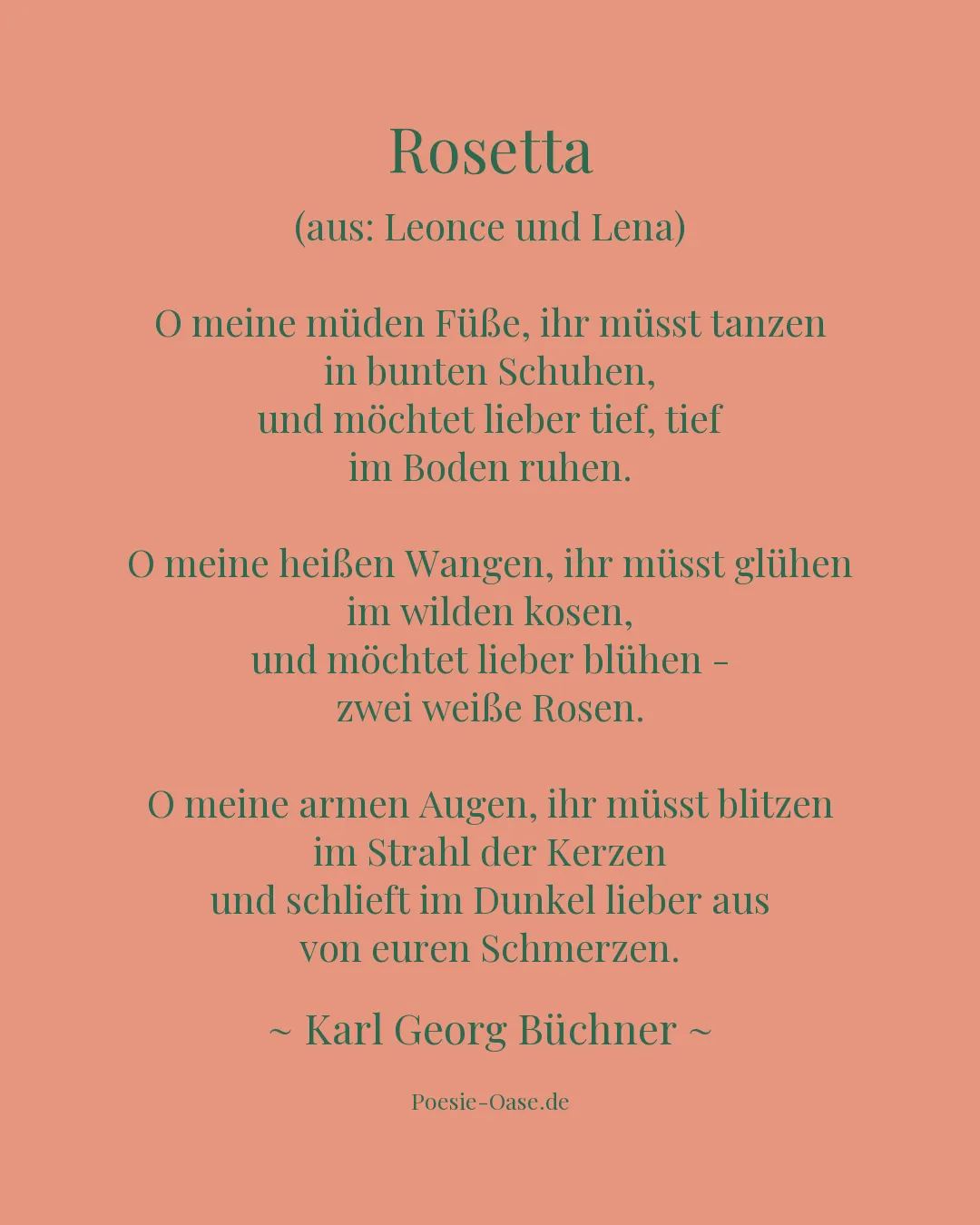 Illustration zu Rosetta