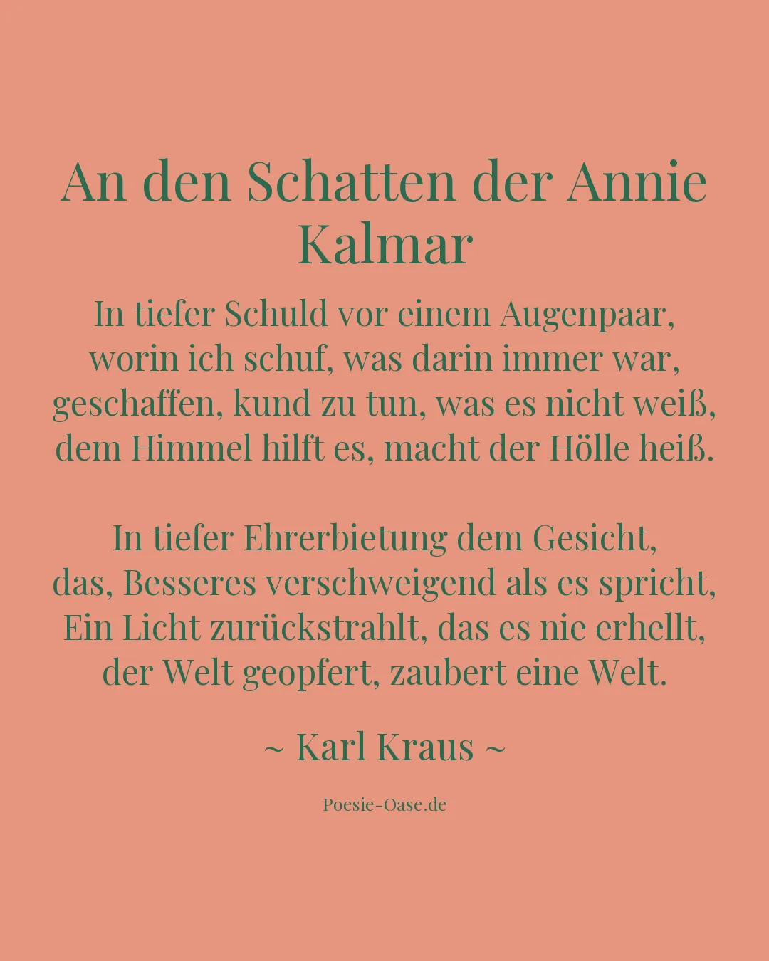 Illustration zu An den Schatten der Annie Kalmar