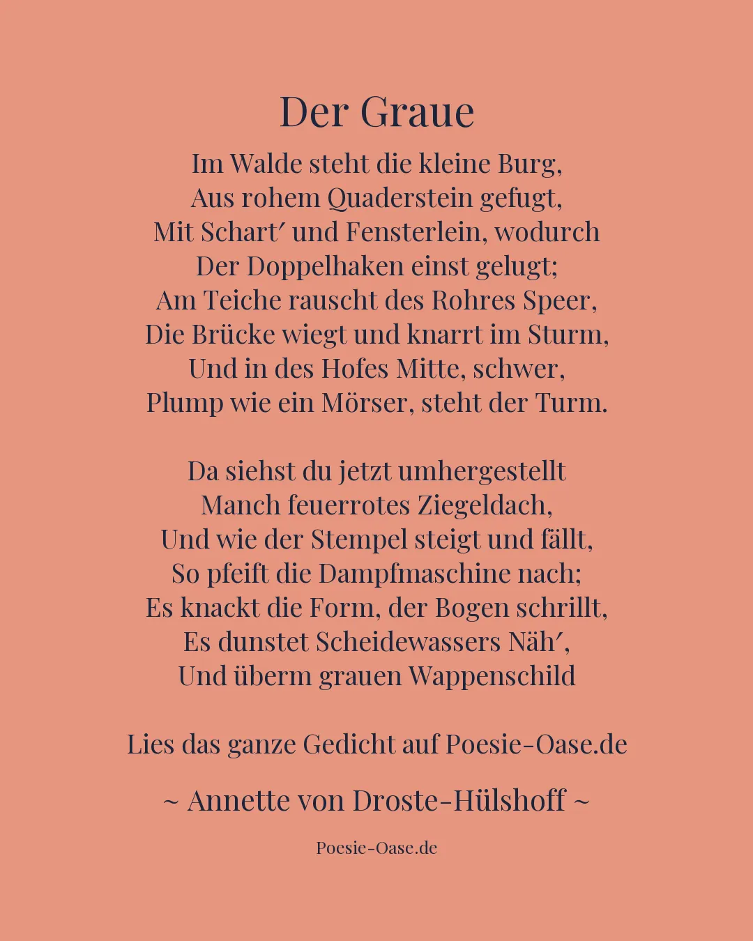 Illustration zu Der Graue