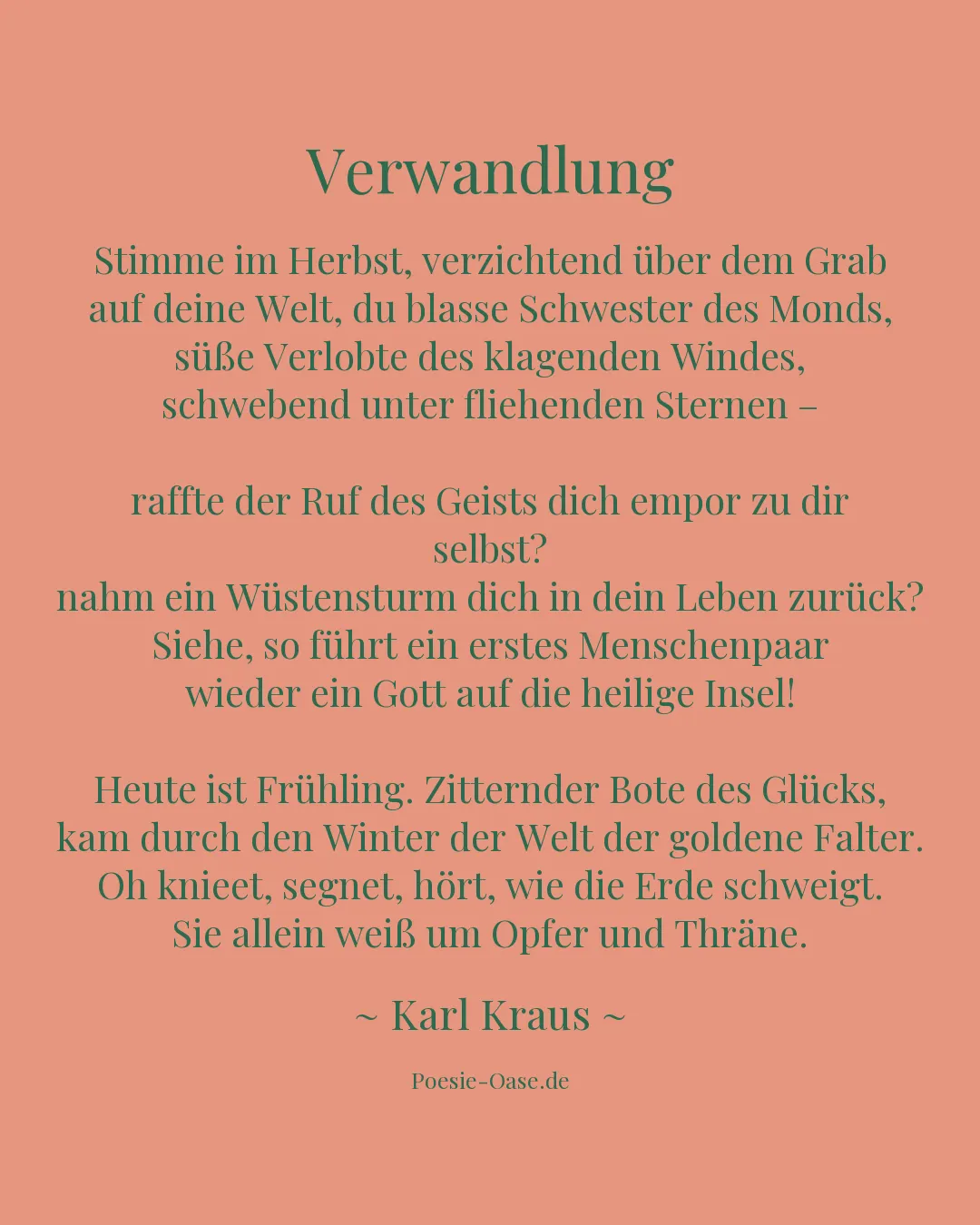 Illustration zu Verwandlung