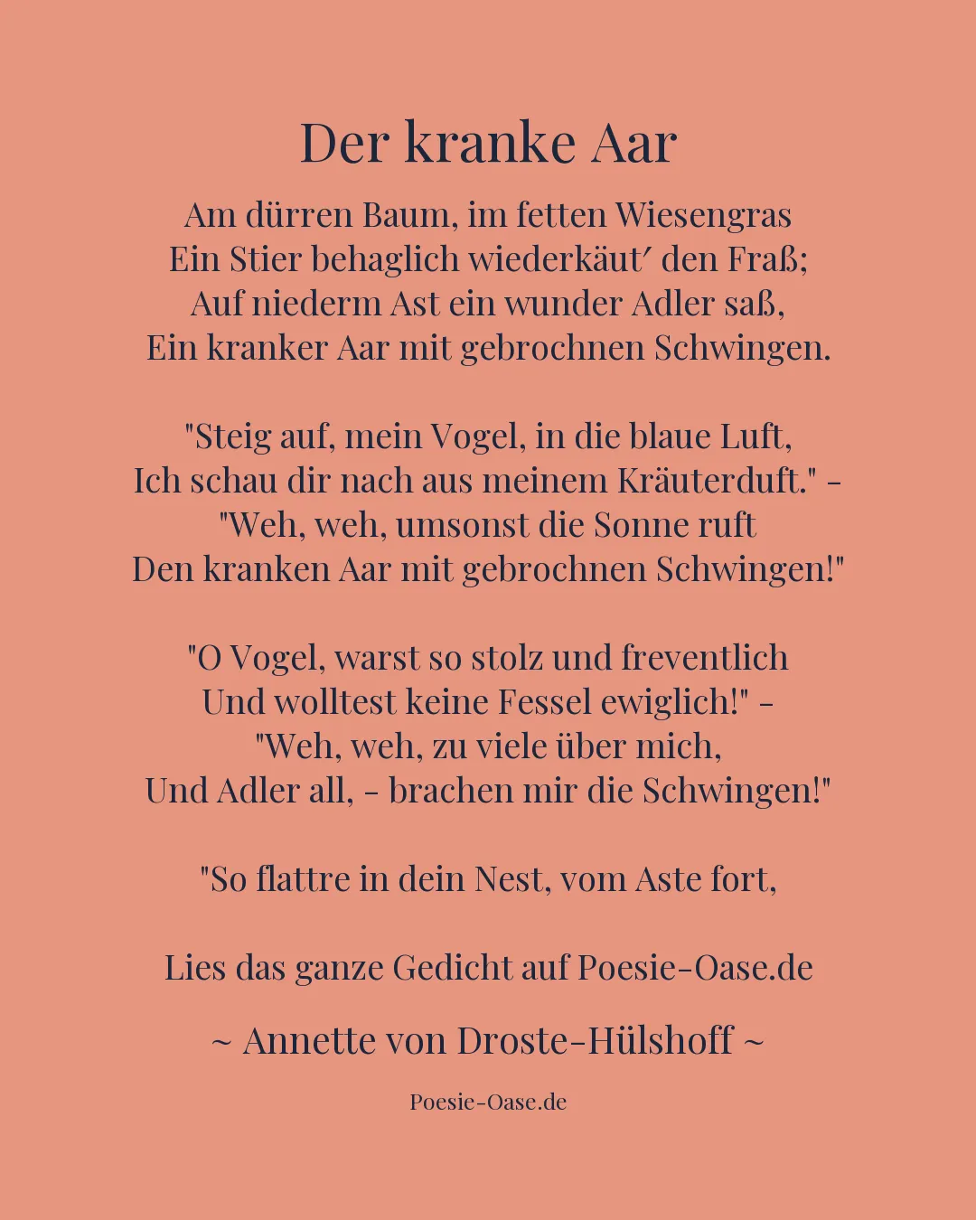 Illustration zu Der kranke Aar