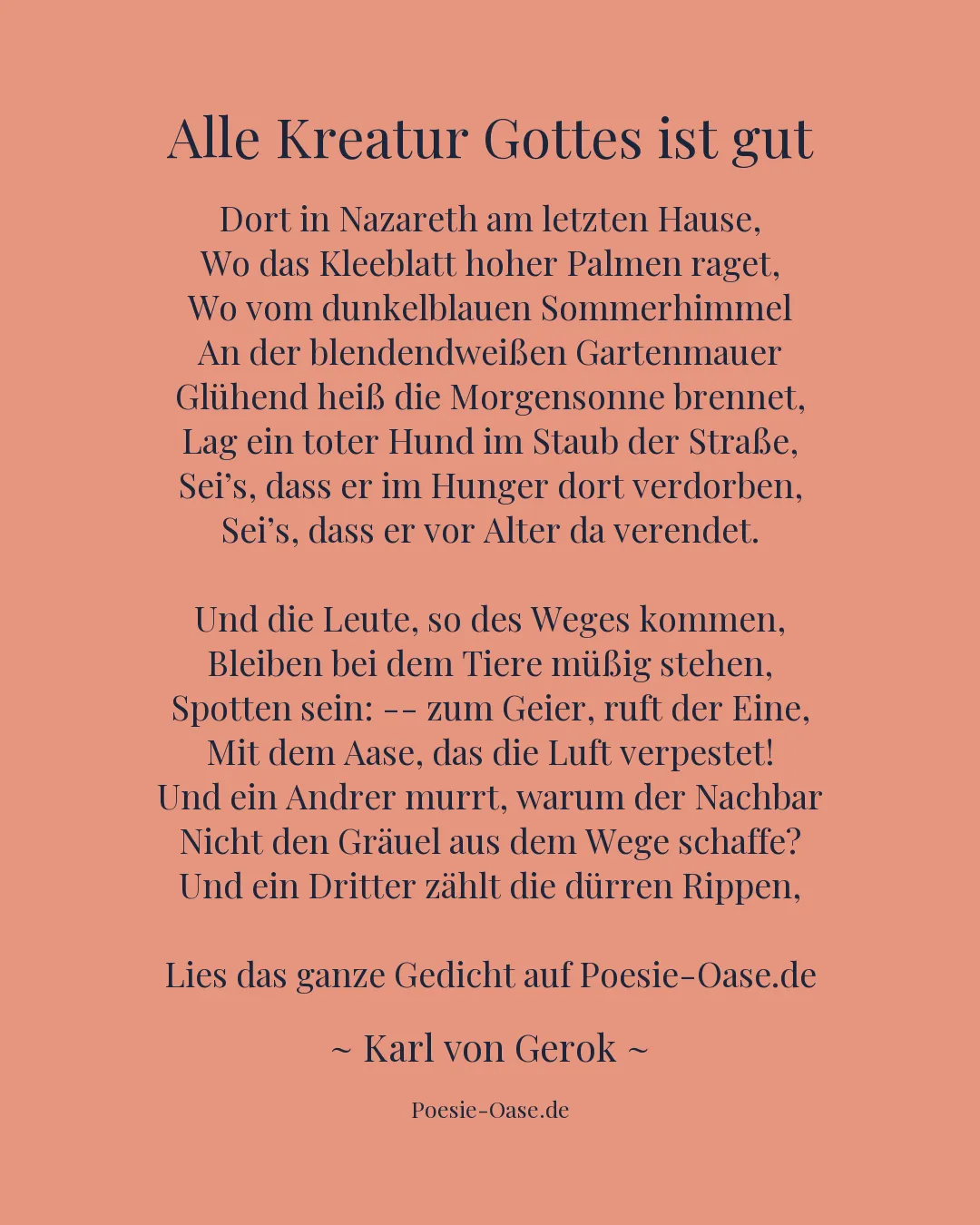 Illustration zu Alle Kreatur Gottes ist gut