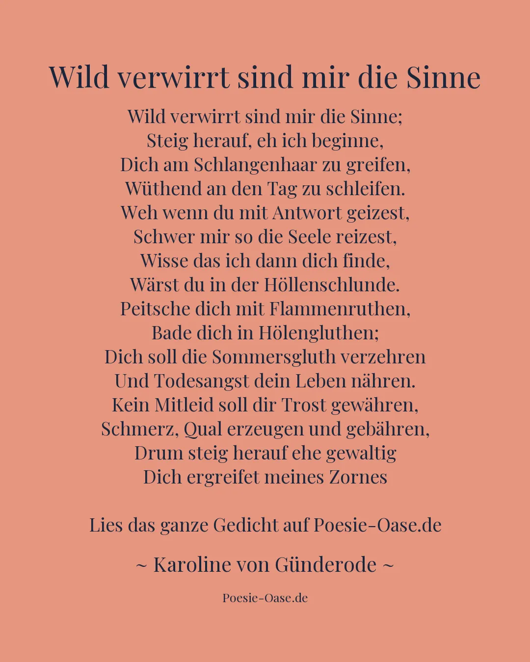 Illustration zu Wild verwirrt sind mir die Sinne