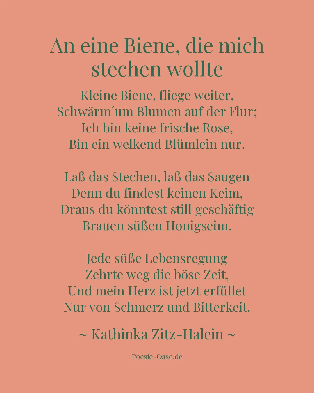 Illustration zu An eine Biene, die mich stechen wollte