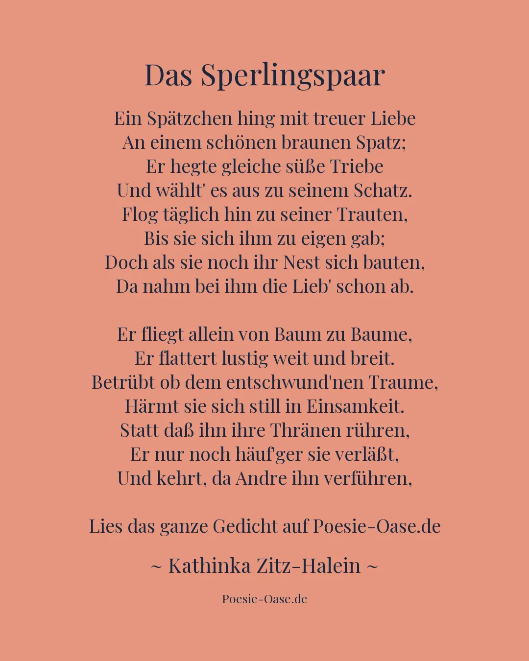 Illustration zu Das Sperlingspaar