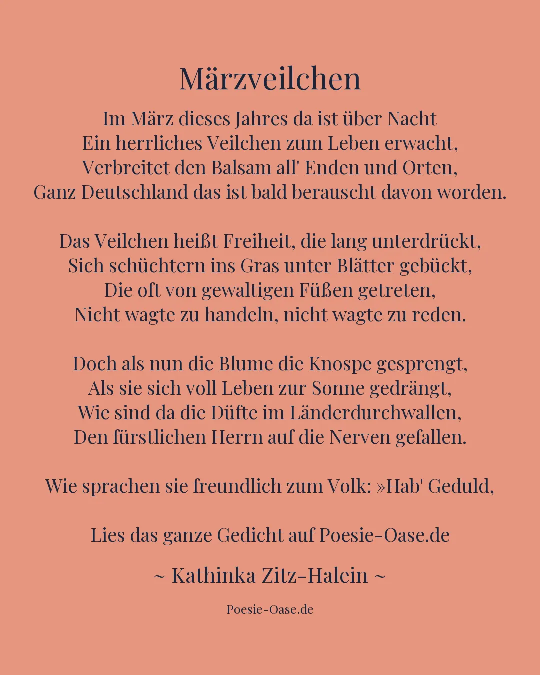 Illustration zu Märzveilchen