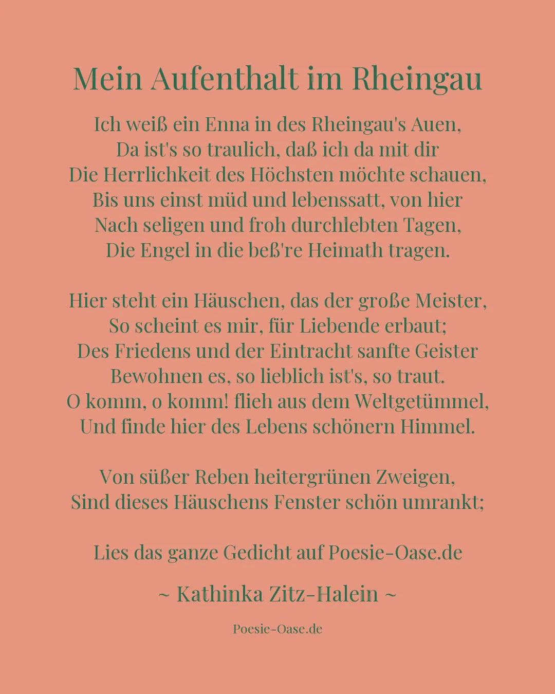 Illustration zu Mein Aufenthalt im Rheingau
