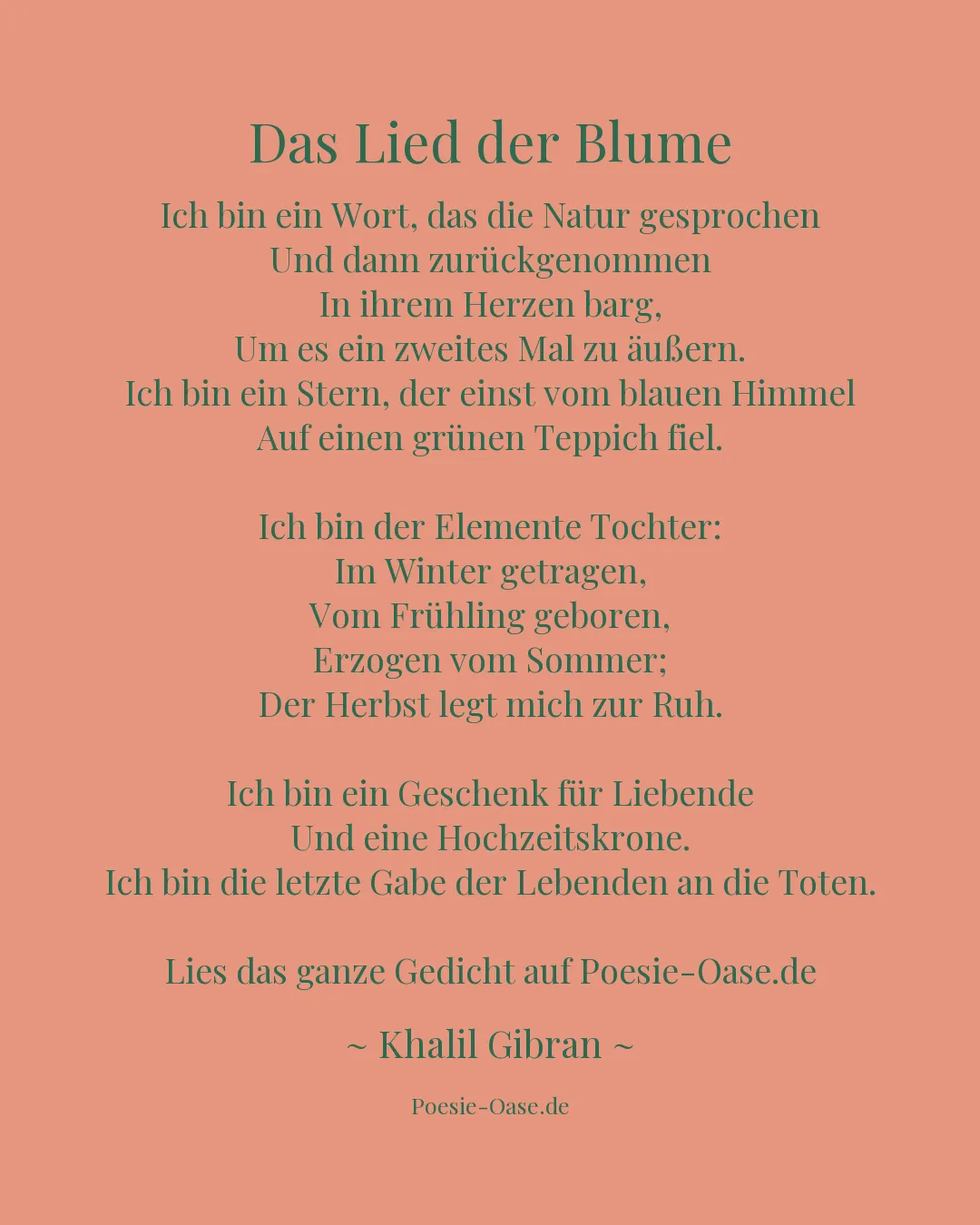 Illustration zu Das Lied der Blume