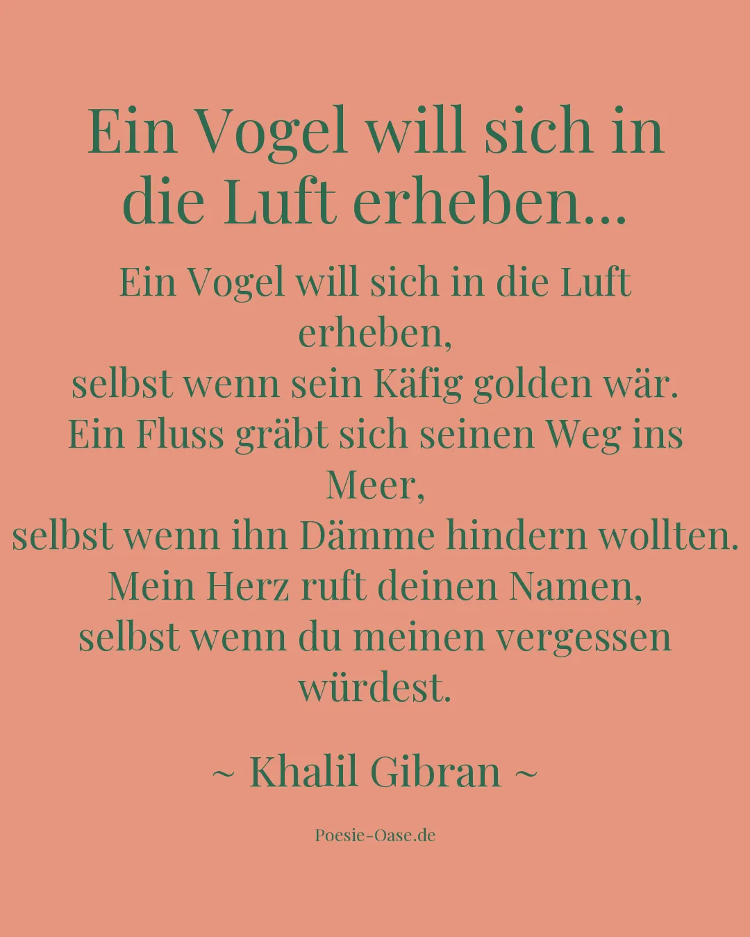 Illustration zu Ein Vogel will sich in die Luft erheben...