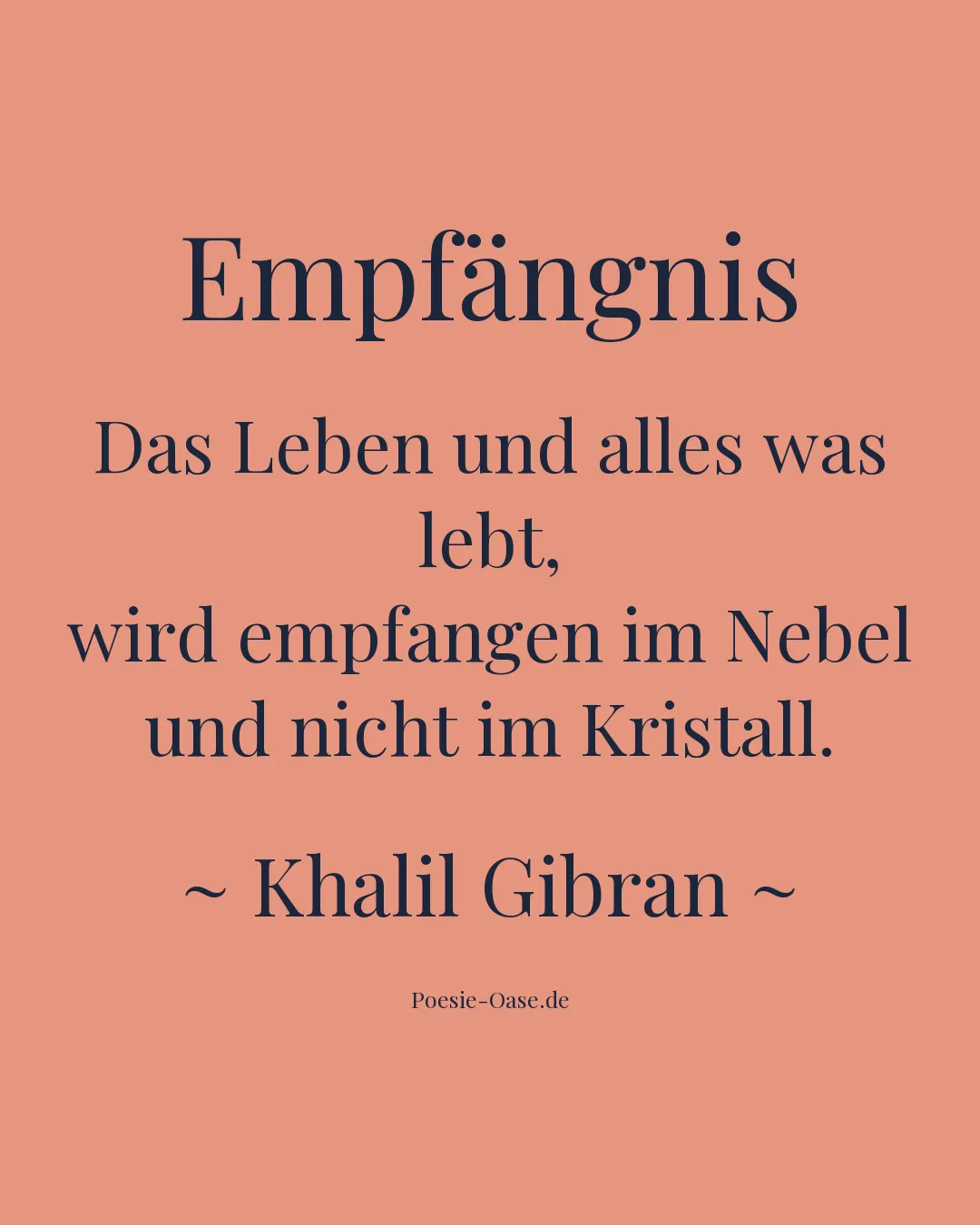 Illustration zu Empfängnis