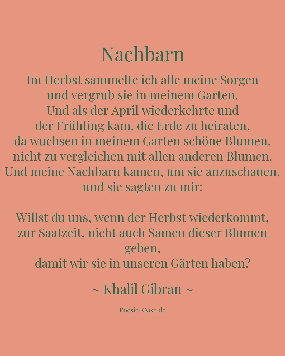 Illustration zu Nachbarn