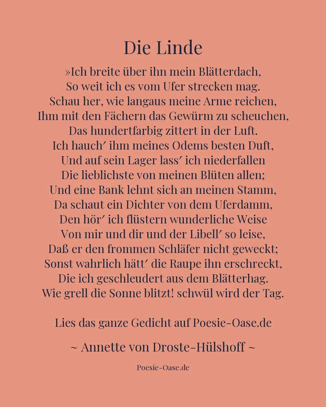 Illustration zu Die Linde