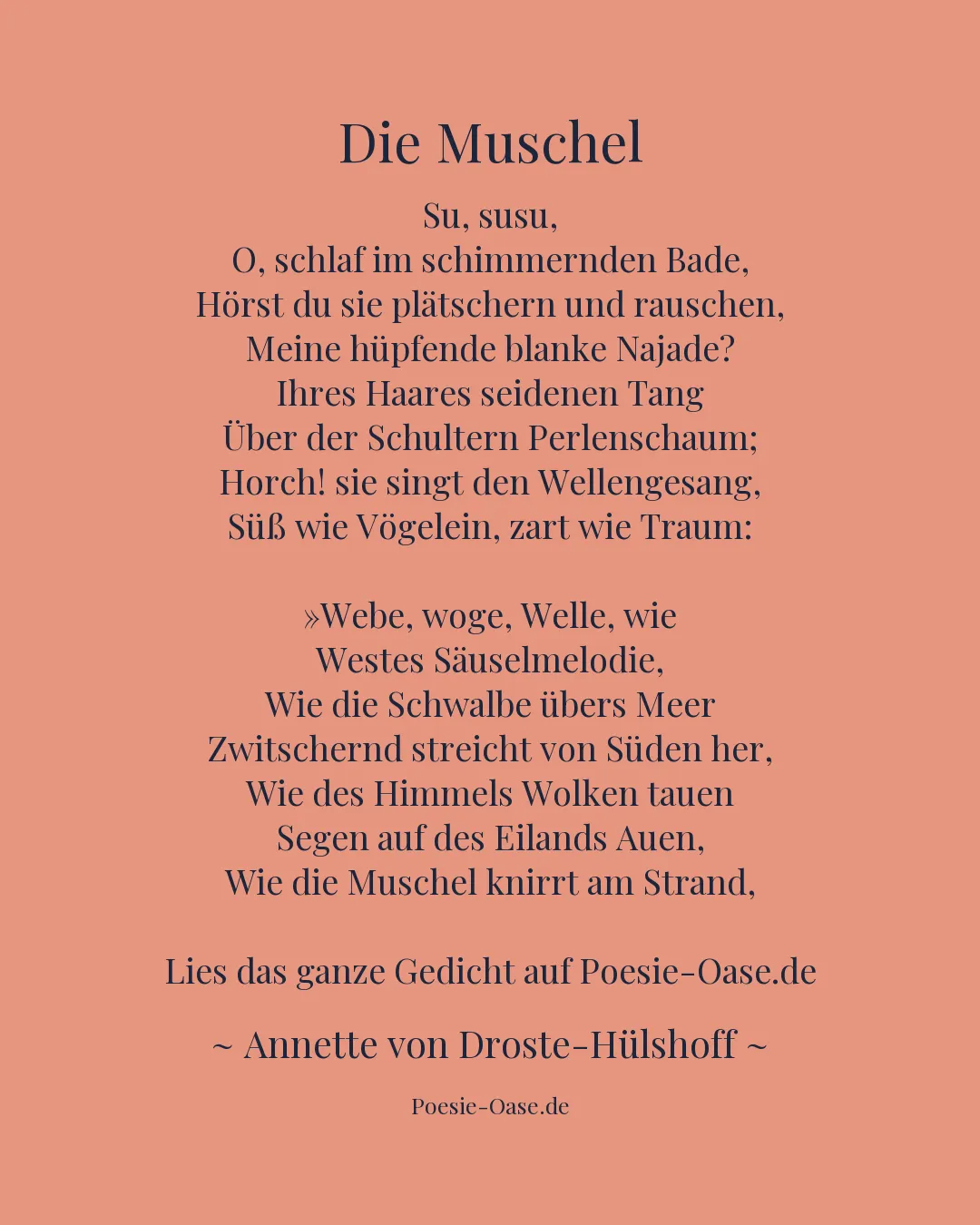 Illustration zu Die Muschel