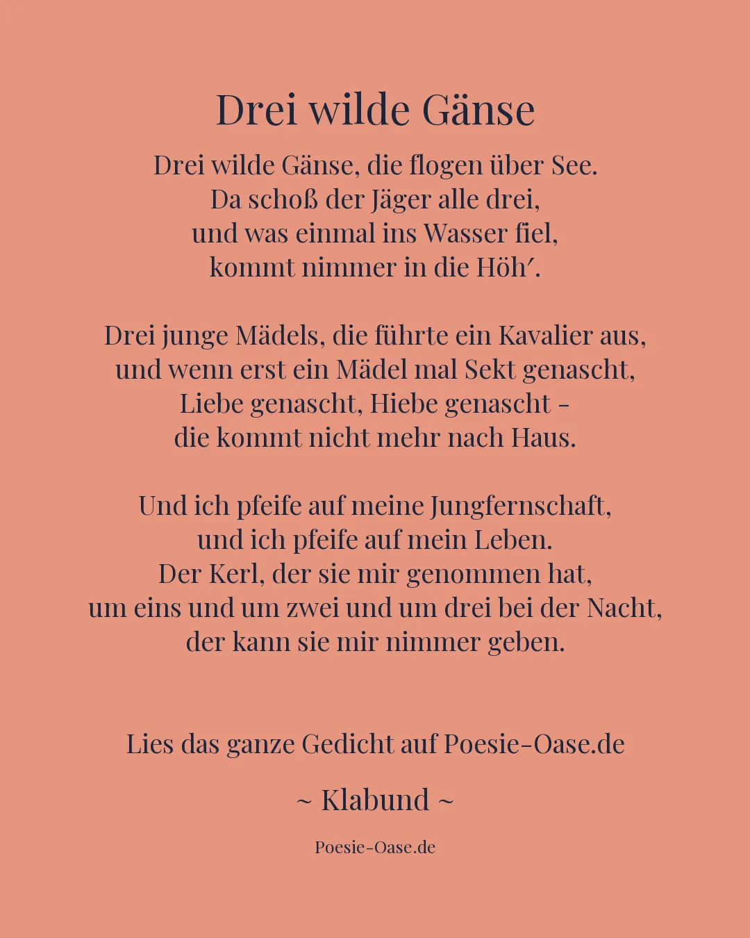 Illustration zu Drei wilde Gänse