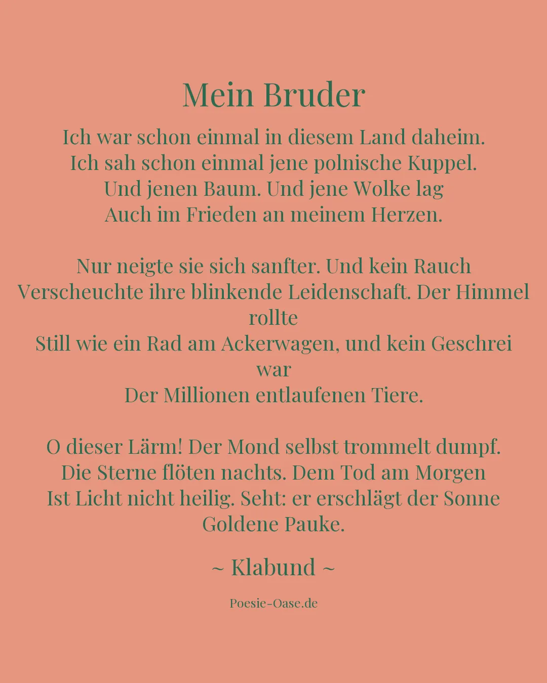 Illustration zu Mein Bruder