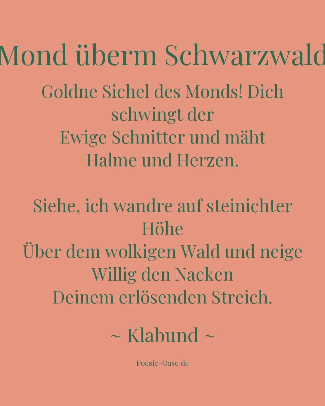 Illustration zu Mond überm Schwarzwald