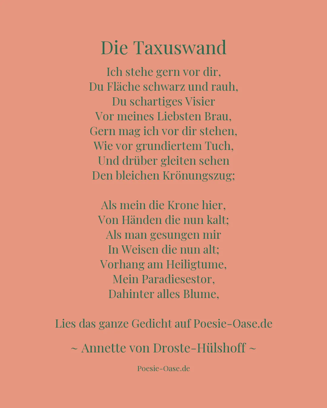 Illustration zu Die Taxuswand
