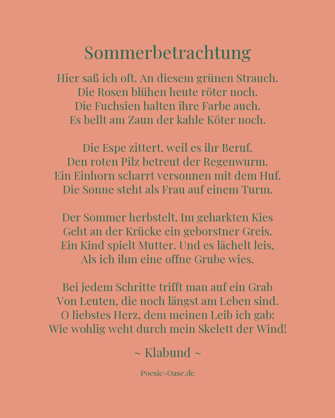 Illustration zu Sommerbetrachtung