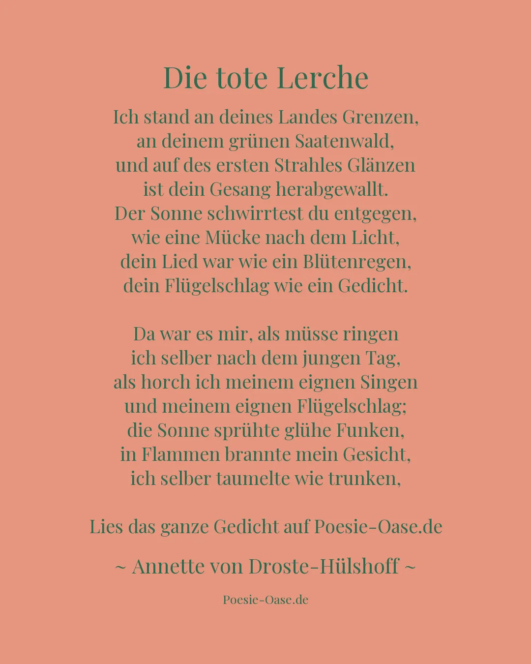 Illustration zu Die tote Lerche