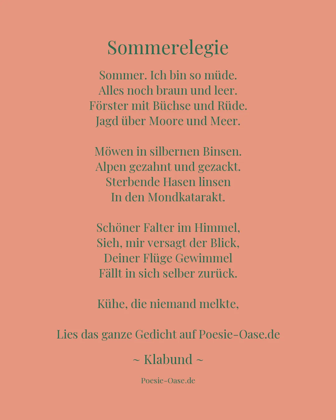 Illustration zu Sommerelegie
