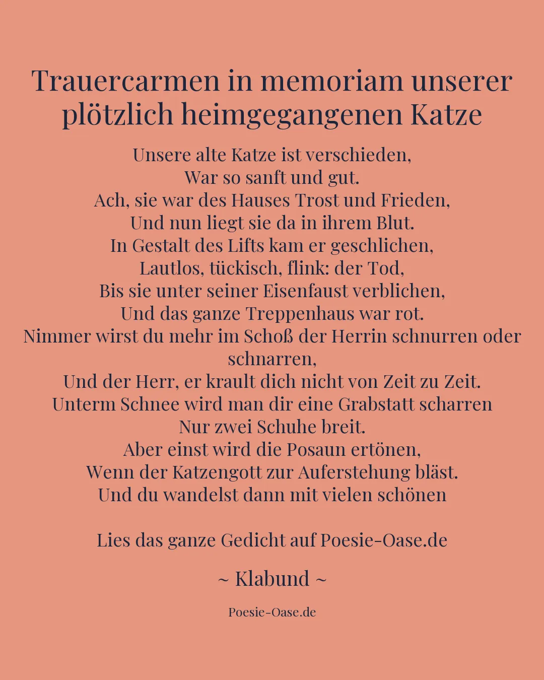 Illustration zu Trauercarmen in memoriam unserer plötzlich heimgegangenen Katze