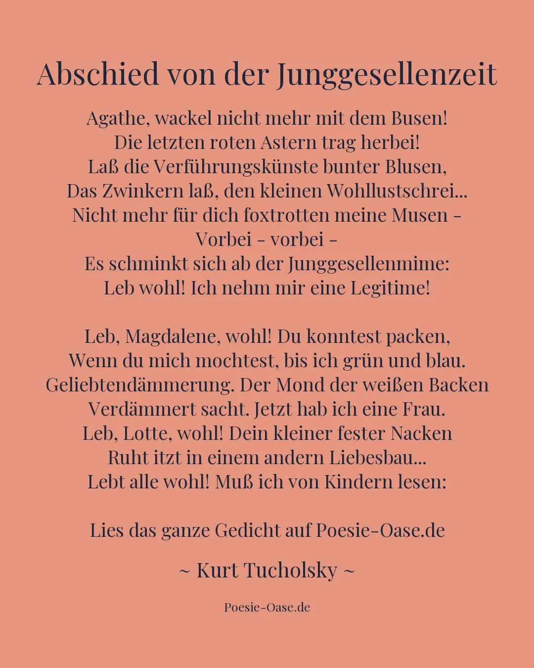 Illustration zu Abschied von der Junggesellenzeit