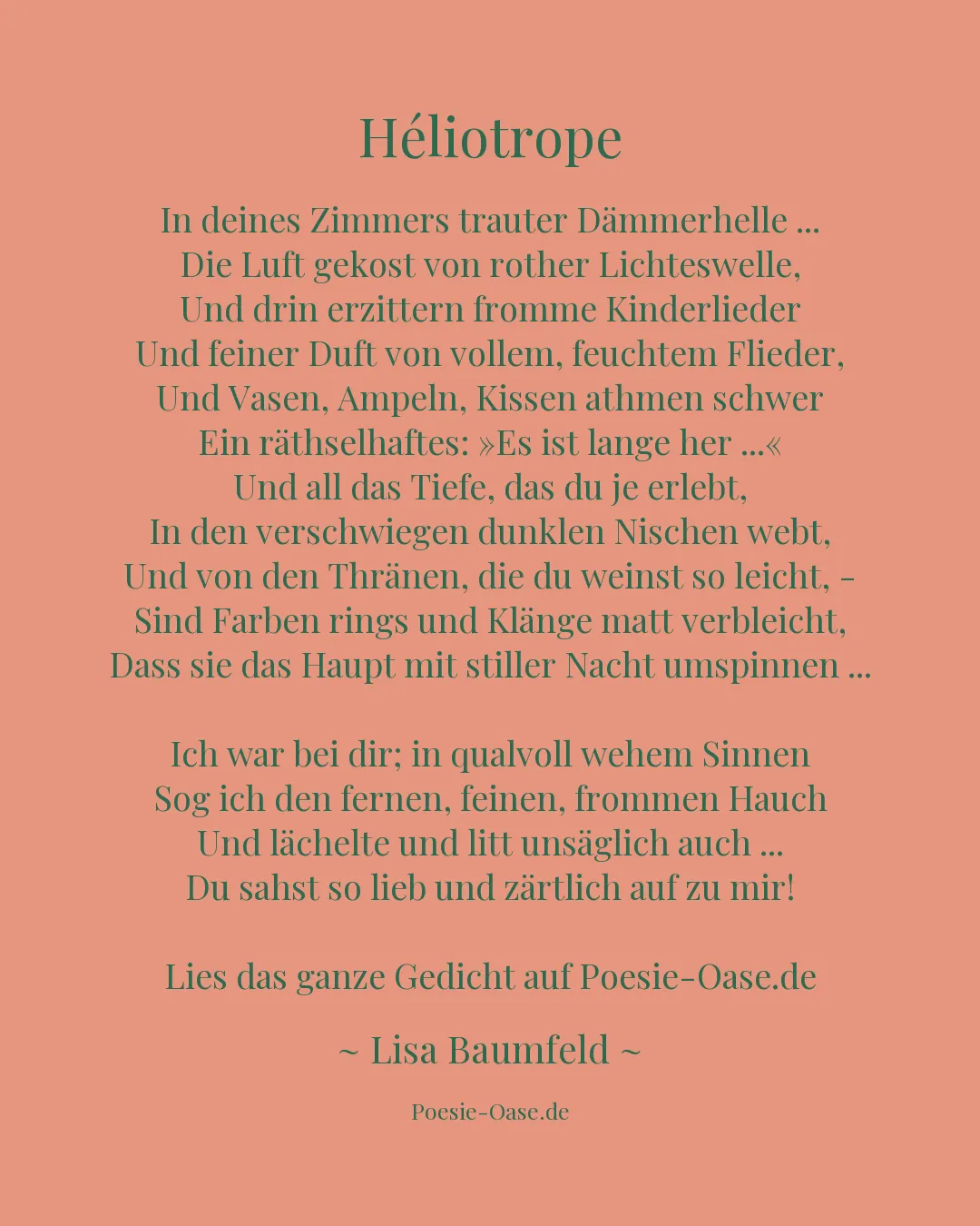 Illustration zu Héliotrope
