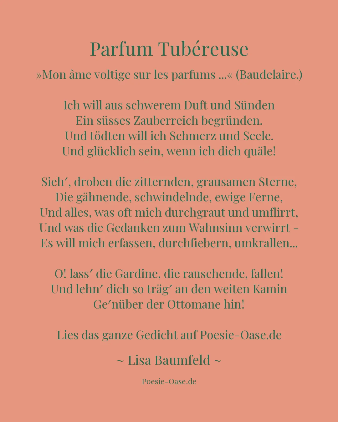 Illustration zu Parfum Tubéreuse