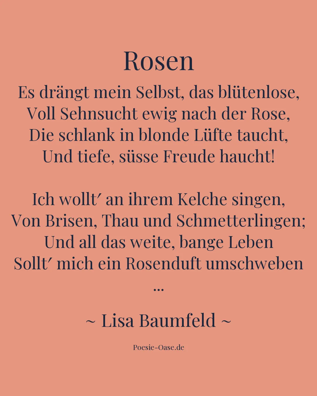 Illustration zu Rosen