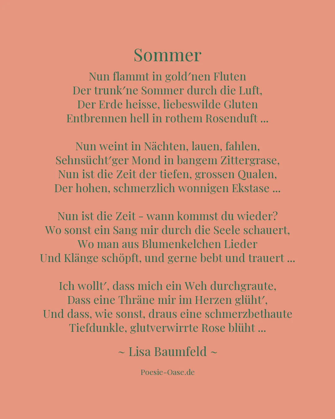 Illustration zu Sommer