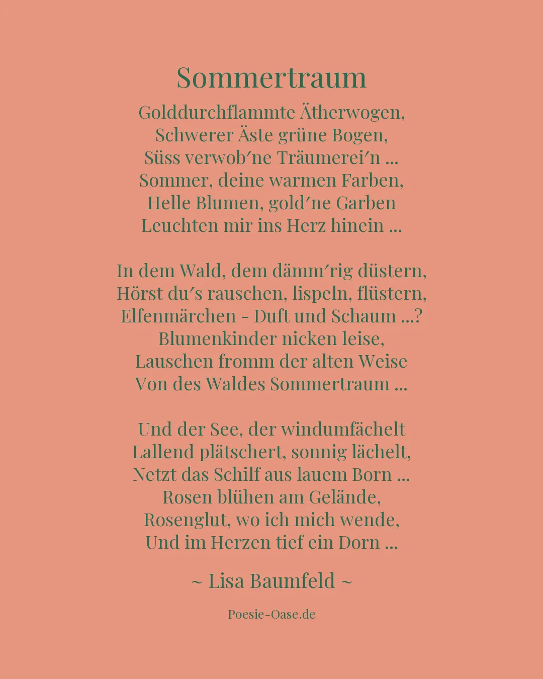 Illustration zu Sommertraum