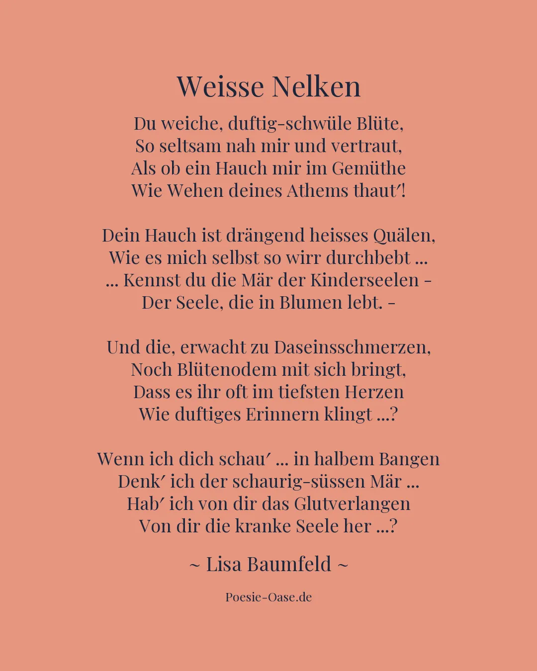 Illustration zu Weisse Nelken