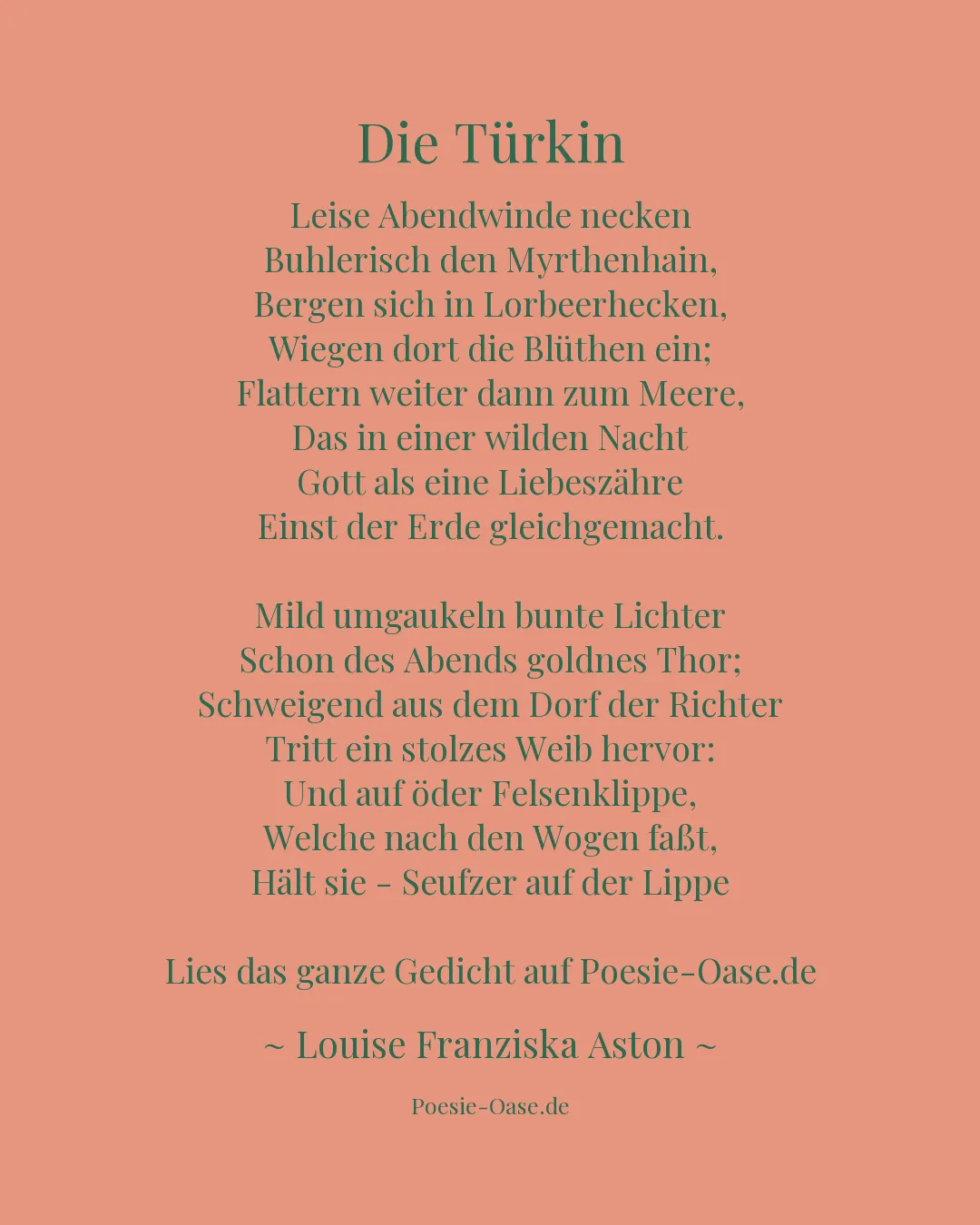 Illustration zu Die Türkin